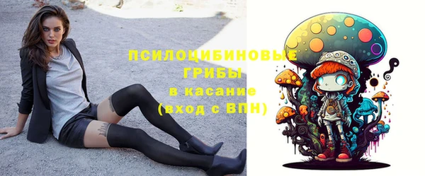 дмт Алексеевка