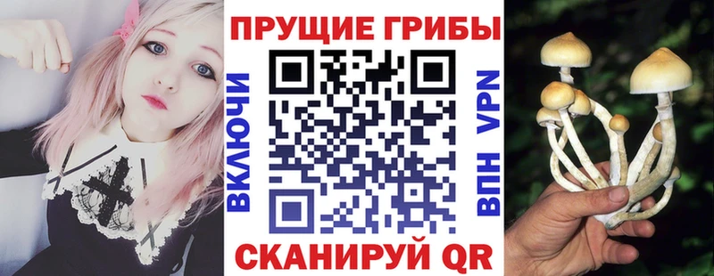 Галлюциногенные грибы мицелий  сколько стоит  Южно-Сахалинск 