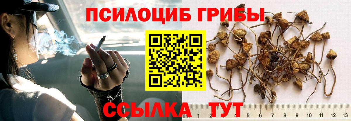 где купить наркоту  Галлюциногенные грибы мицелий  Вход с VPN  Южно-Сахалинск 