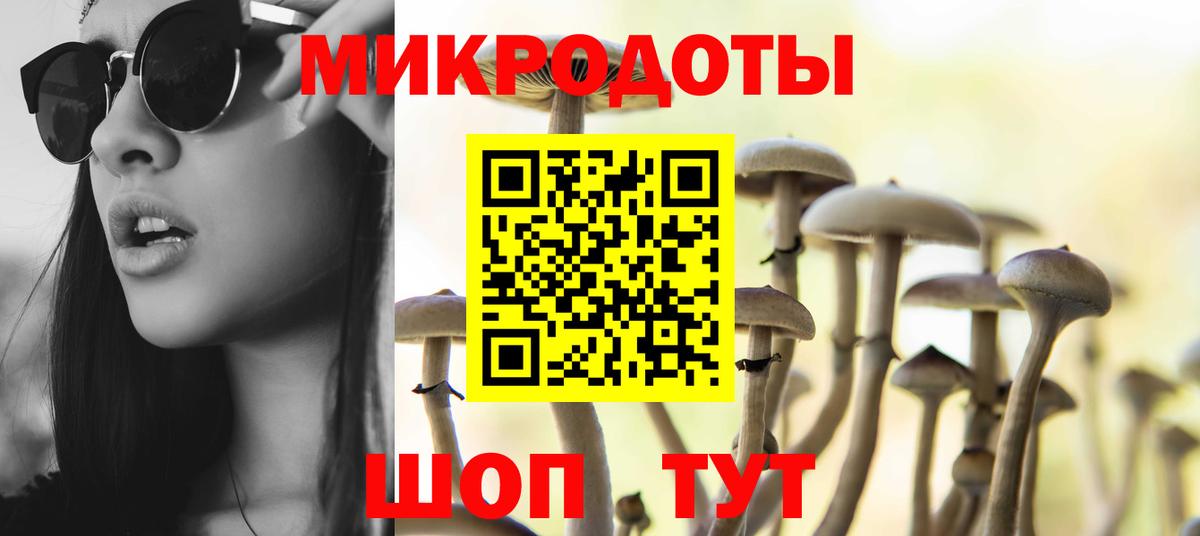 Галлюциногенные грибы Psilocybe Южно-Сахалинск